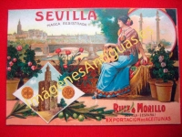 SEVILLA, RUIZ & MORCILLO, EXPORTACIÓN DE ACEITUNAS