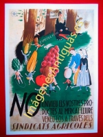 SINDICATS AGRICOLES