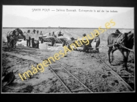 Santa Pola - Salinas Bonnati. Extrayendo la sal de las balsas