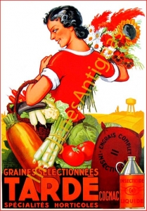 TARDÉ SPÉCIALITÉS HORTICOLES INSECTICIDE