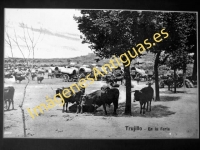 Trujillo - En la Feria