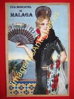 UVA MOSCATEL DE MÁLAGA