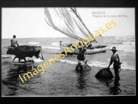 Valencia - Regreso de la pesca del Bou