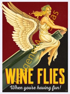 WINE FLIES WHEN YOURE HAVING FUN!