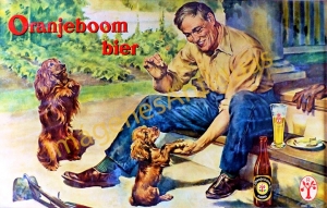 ORANJEBOOM BIER