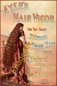 AYER'S HAIR VIGOR FOR THE TOILET