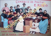 COMERCIO DE FRUTAS E. RUBIO SOT DE FERRER (SAGUNTO)