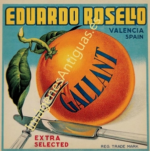 NARANJAS GALLANT - EDUARDO ROSELLÓ - VALENCIA