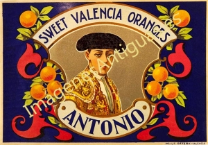 SWEET VALENCIA ORANGES ANTONIO