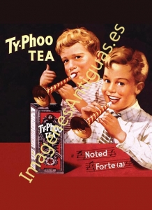TY.PHOO TEA - A
